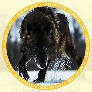 Meet your Posher, Walter